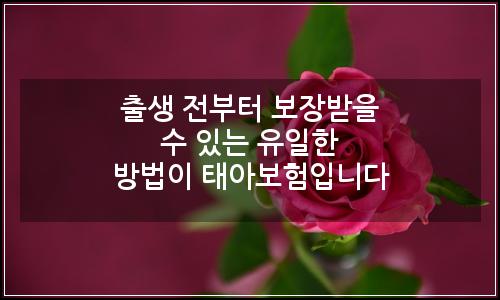 오늘의 이미지