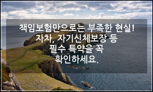오늘의 이미지