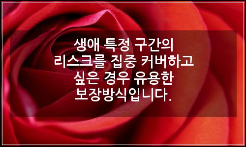 오늘의 이미지