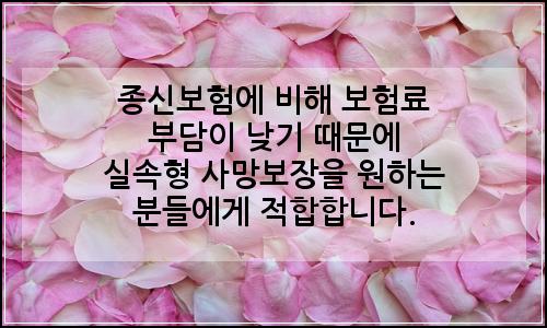 오늘의 이미지