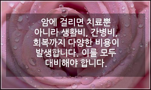 오늘의 이미지