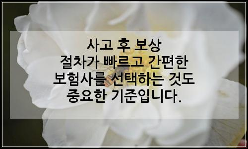 오늘의 이미지