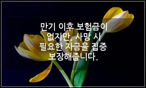 오늘의 이미지