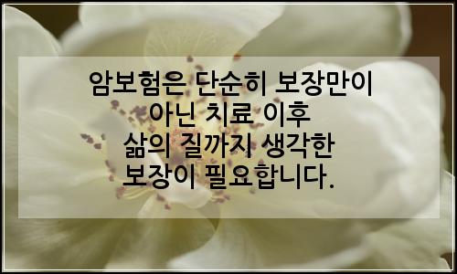 오늘의 이미지