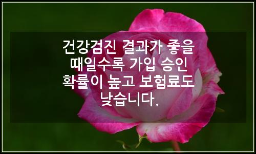 오늘의 이미지
