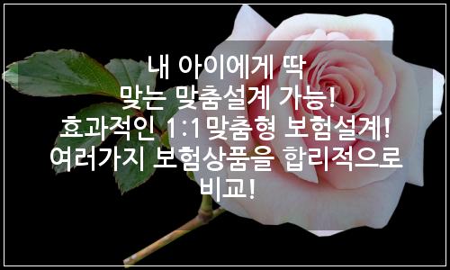 오늘의 이미지
