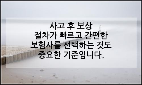 오늘의 이미지