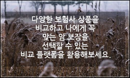 오늘의 이미지