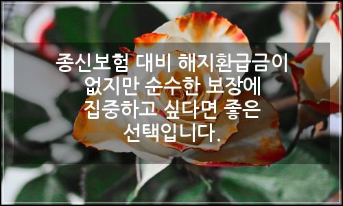 오늘의 이미지