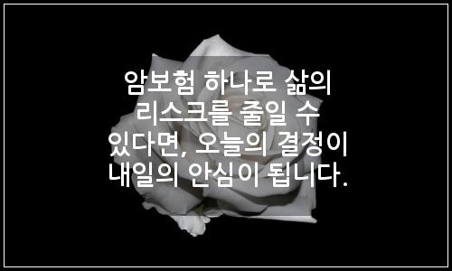 오늘의 이미지