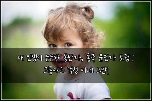  내 인생의 든든한 동반자, 흥국 운전자 보험 : 교통사고 걱정 이제 그만!