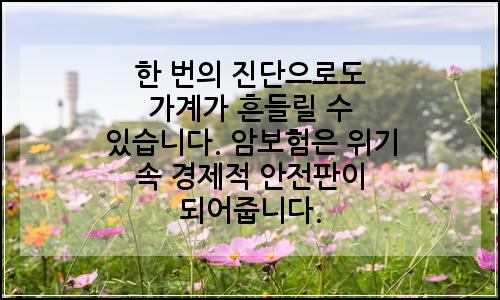 오늘의 이미지