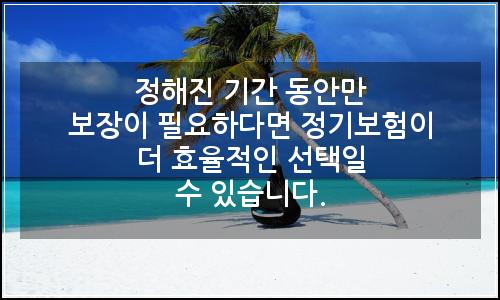 오늘의 이미지
