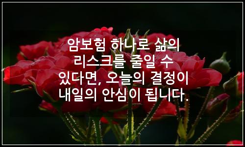 오늘의 이미지