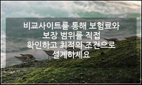 오늘의 이미지