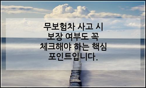 오늘의 이미지