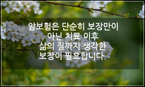 오늘의 이미지