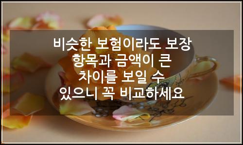 오늘의 이미지