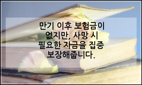 오늘의 이미지