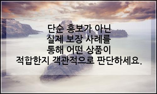 오늘의 이미지