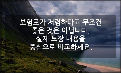 오늘의 이미지