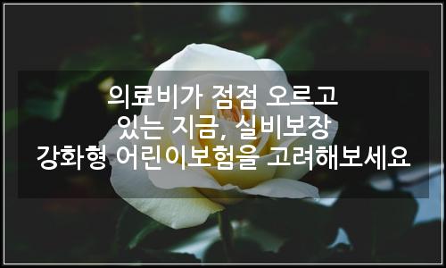 오늘의 이미지