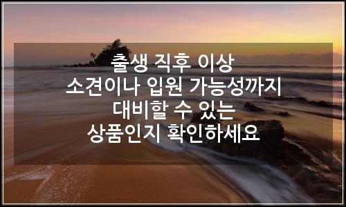 오늘의 이미지