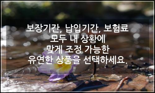 오늘의 이미지