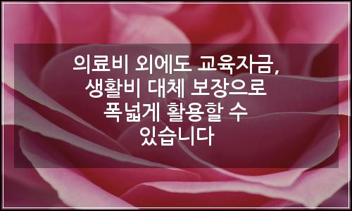 오늘의 이미지