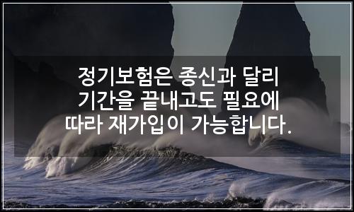 오늘의 이미지