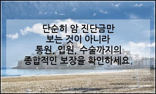 오늘의 이미지
