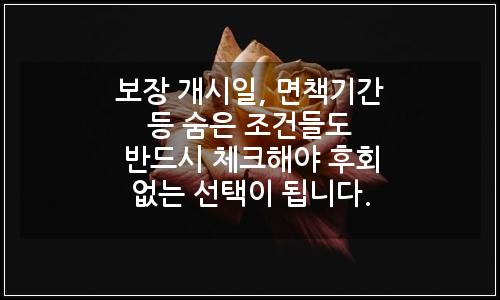 오늘의 이미지