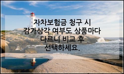 오늘의 이미지