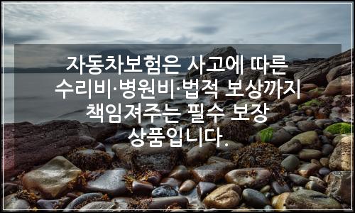 오늘의 이미지