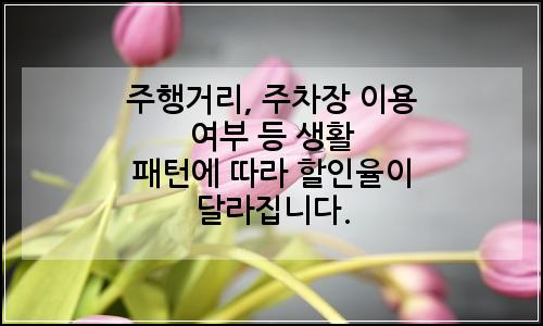 오늘의 이미지