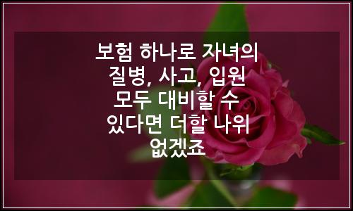 오늘의 이미지