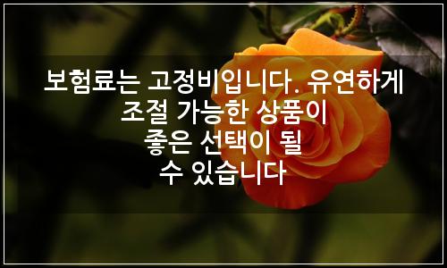 오늘의 이미지