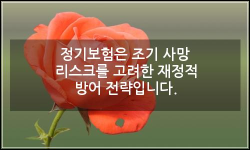 오늘의 이미지