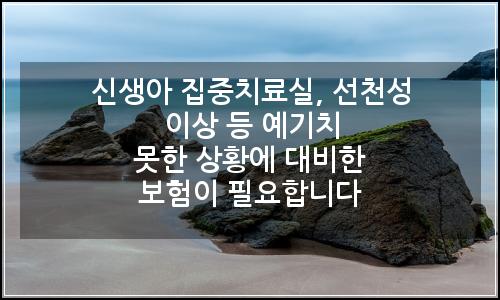 오늘의 이미지
