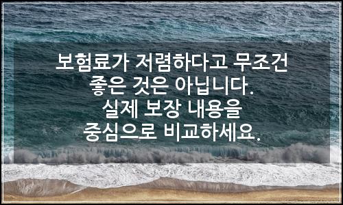 오늘의 이미지