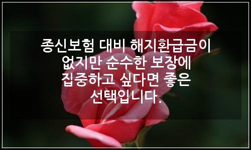 오늘의 이미지