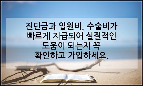 오늘의 이미지