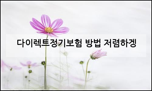 오늘의 이미지