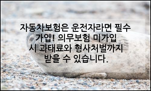 오늘의 이미지