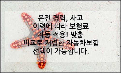 오늘의 이미지