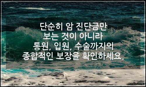 오늘의 이미지