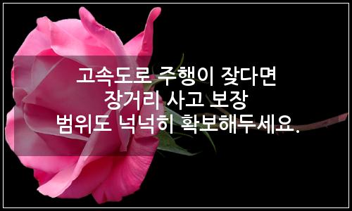 오늘의 이미지