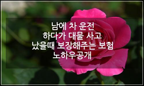 오늘의 이미지