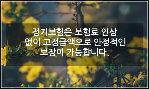 오늘의 이미지