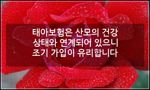 오늘의 이미지